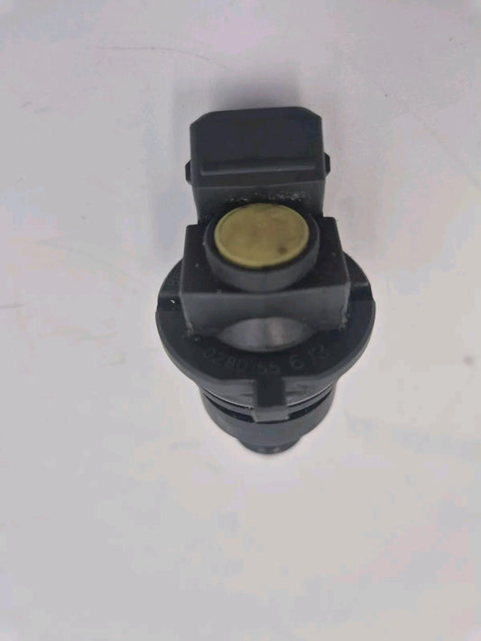 PEUGEOT CITROEN RENAULT 406 LAGUNA XANTIA 3.0 V6 24v FUEL INJECTOR 0280155613